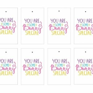 You are Some Bunny Special Easter Gift Tags