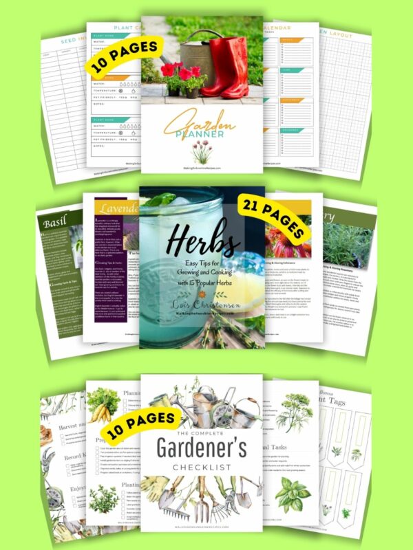 what's included in the ebooks bundle.