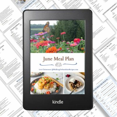 tablet showing June meal plan.