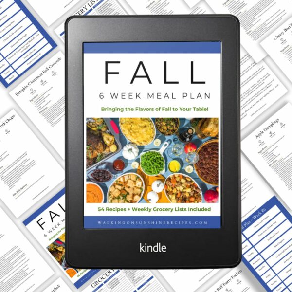 Kindle photo of meal plan.