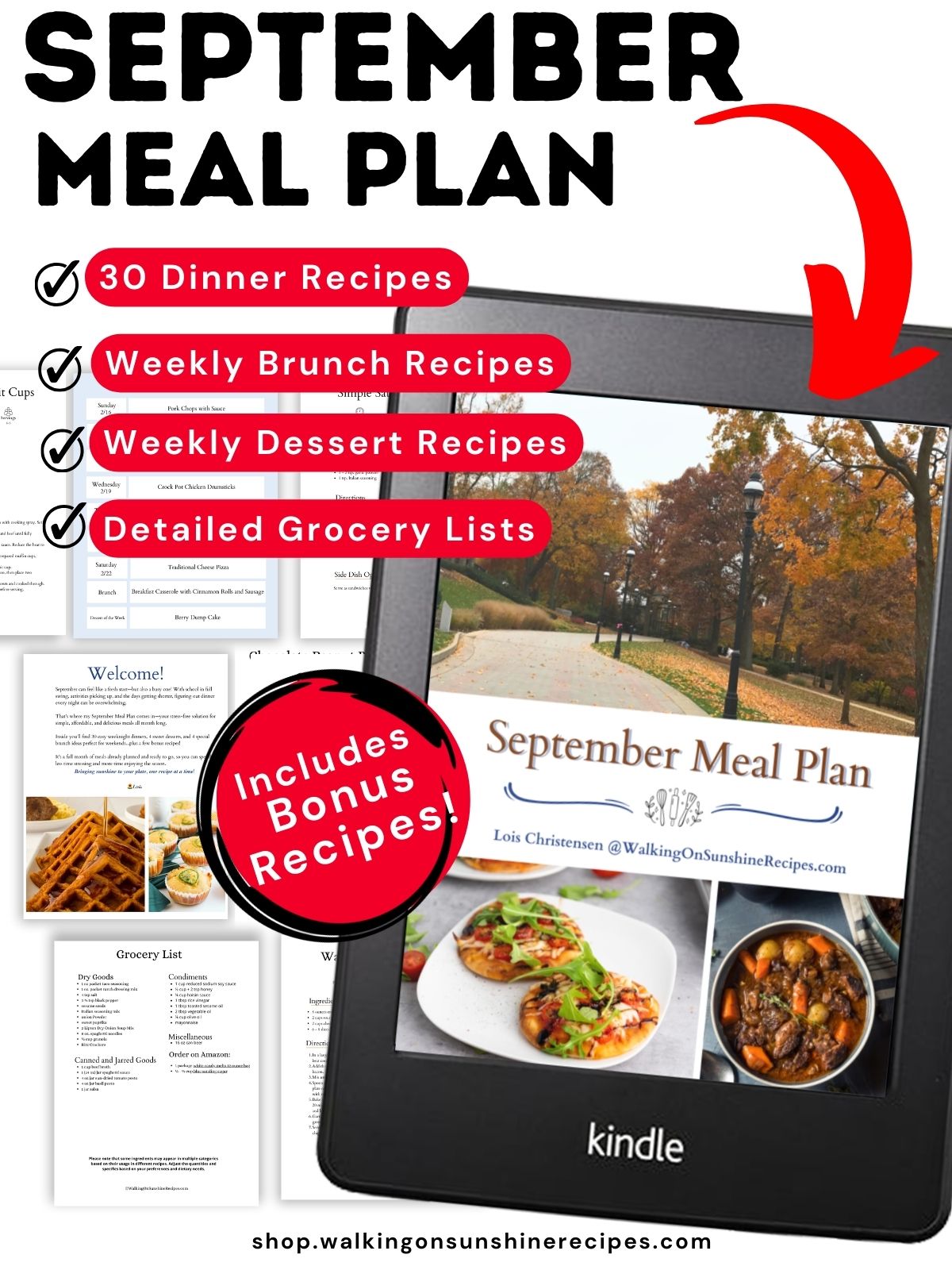 main promo photo meal plan.